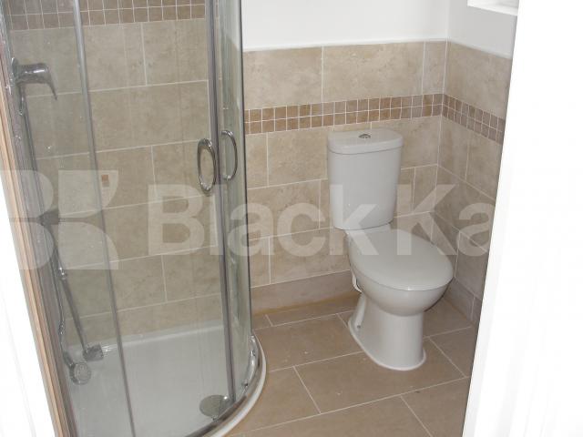 			NEW INSTRUCTION , Studio Apartment, 1 bath, 1 reception Flat			 Baldry Gardens, Streatham Common